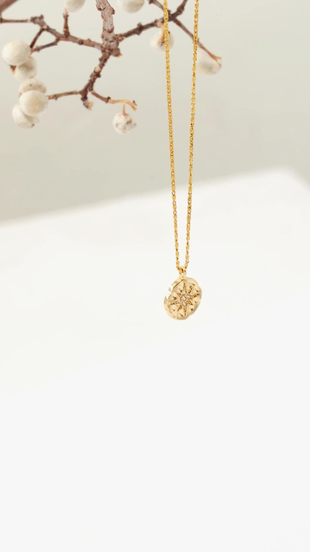 Polaris Coin Necklace